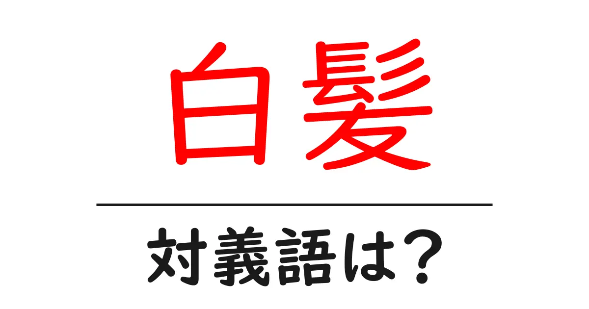 白髪の対義語・反対語を使用例を交えて分かりやすく解説!