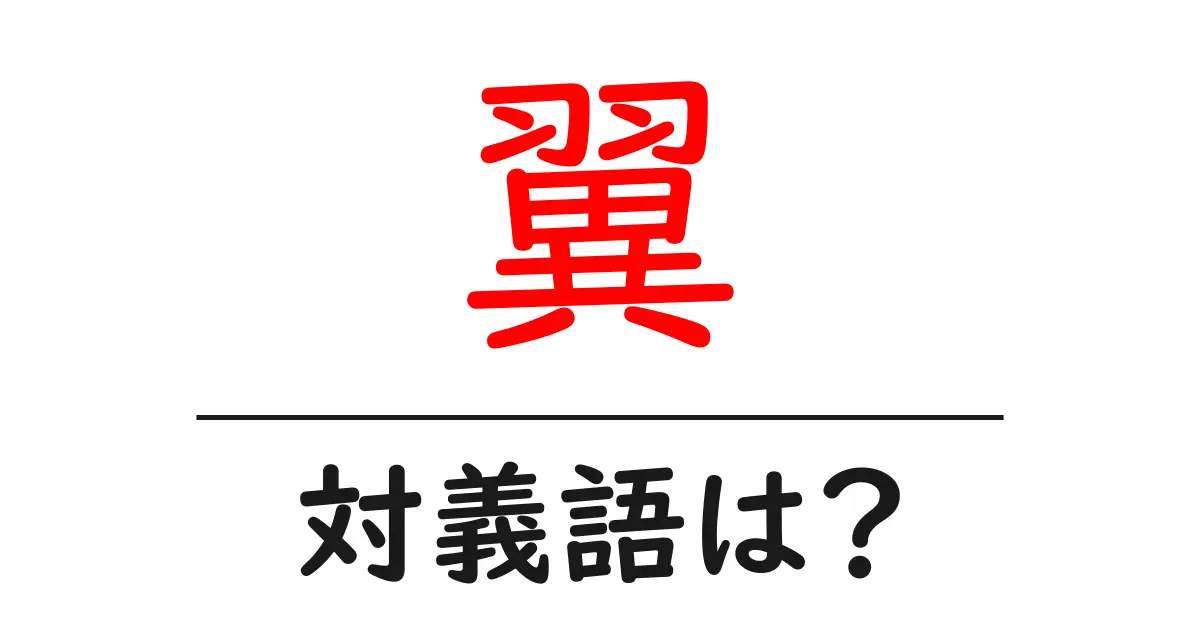 翼の対義語・反対語を使用例を交えて分かりやすく解説!