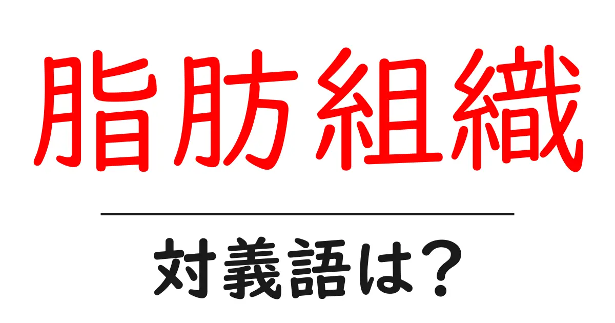 脂肪組織の対義語・反対語を使用例を交えて分かりやすく解説！