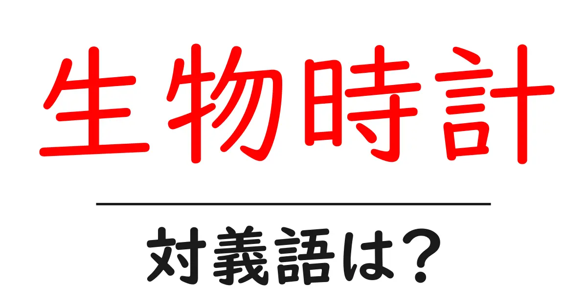 生物時計の対義語・反対語を使用例を交えて分かりやすく解説！