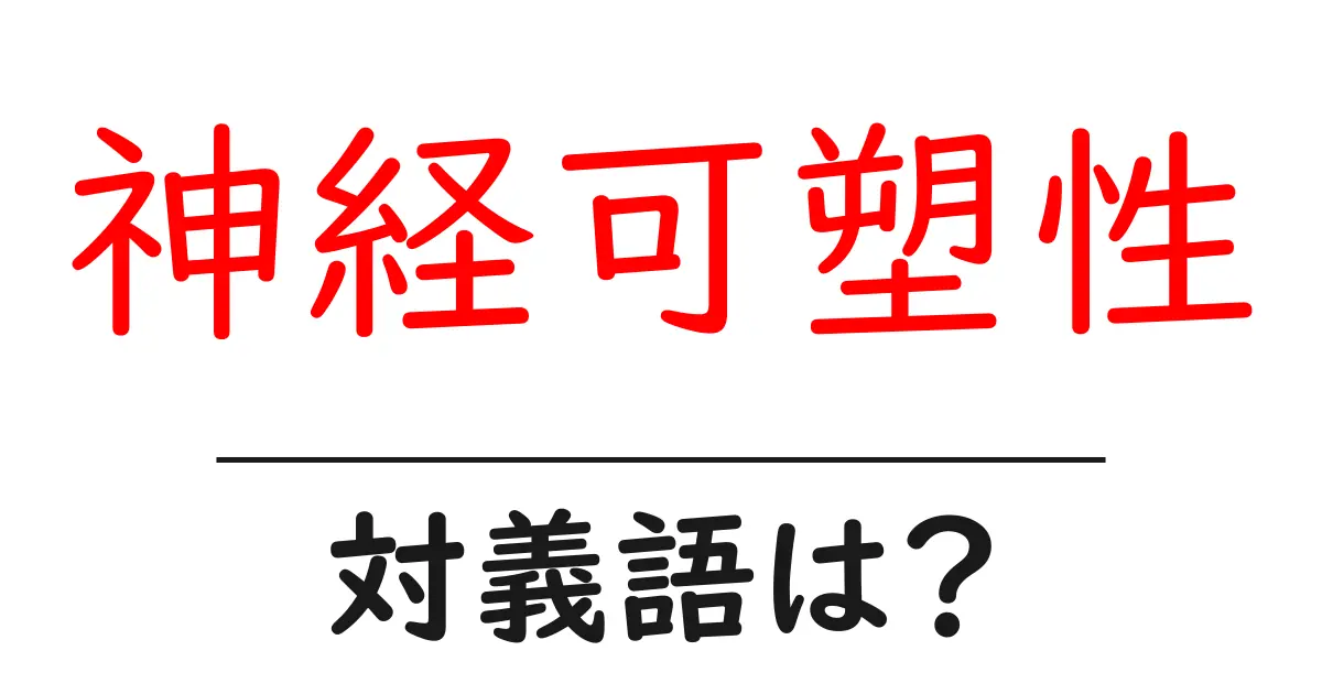 神経可塑性の対義語・反対語を使用例を交えて分かりやすく解説!