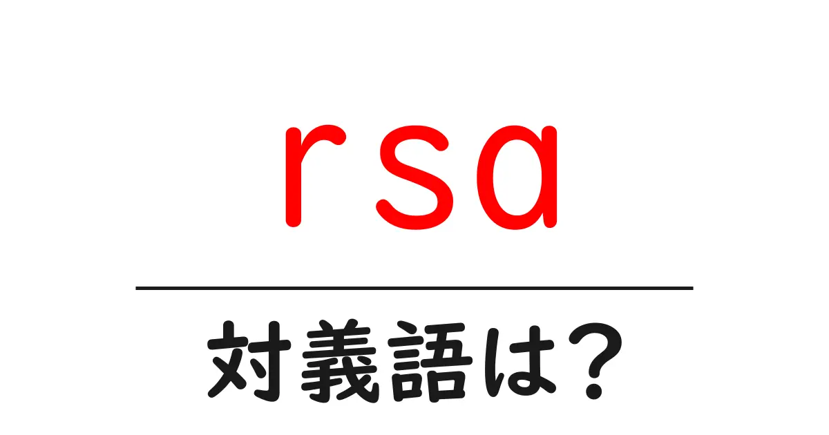 rsaの対義語・反対語を使用例を交えて分かりやすく解説!