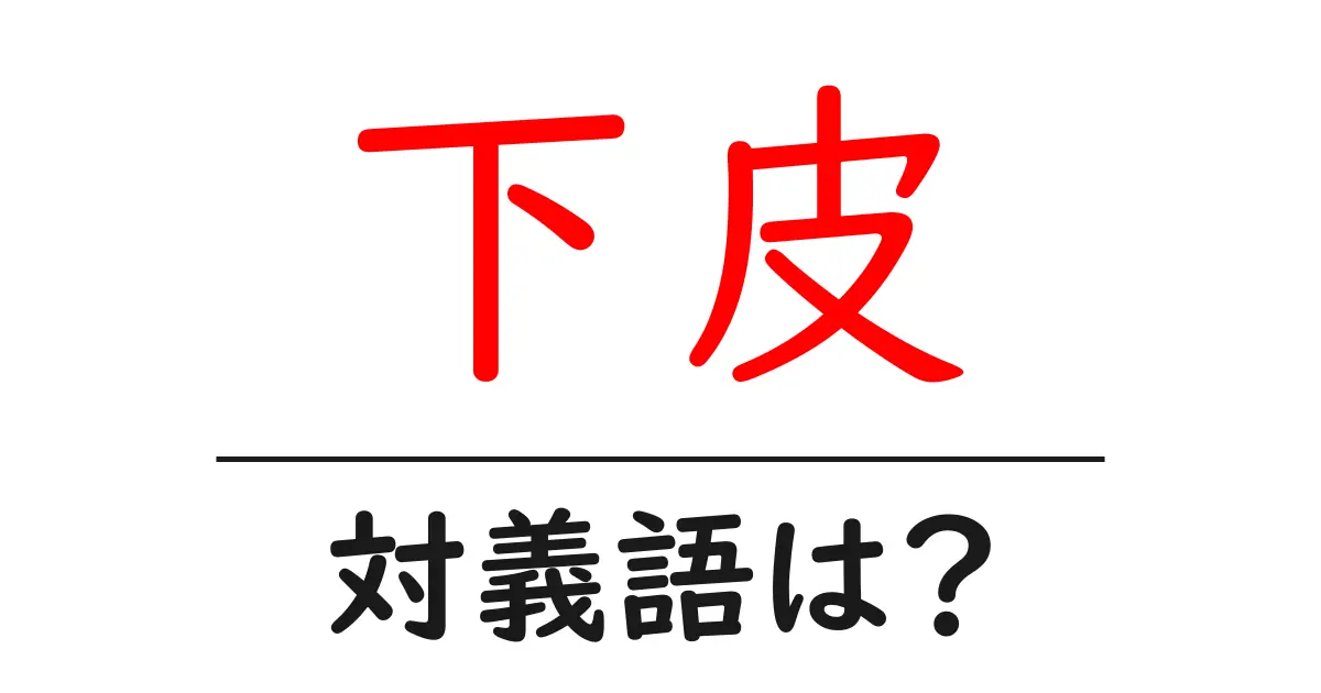 下皮の対義語・反対語を使用例を交えて分かりやすく解説!