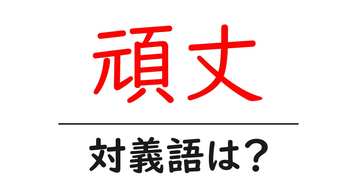頑丈の対義語・反対語を使用例を交えて分かりやすく解説!