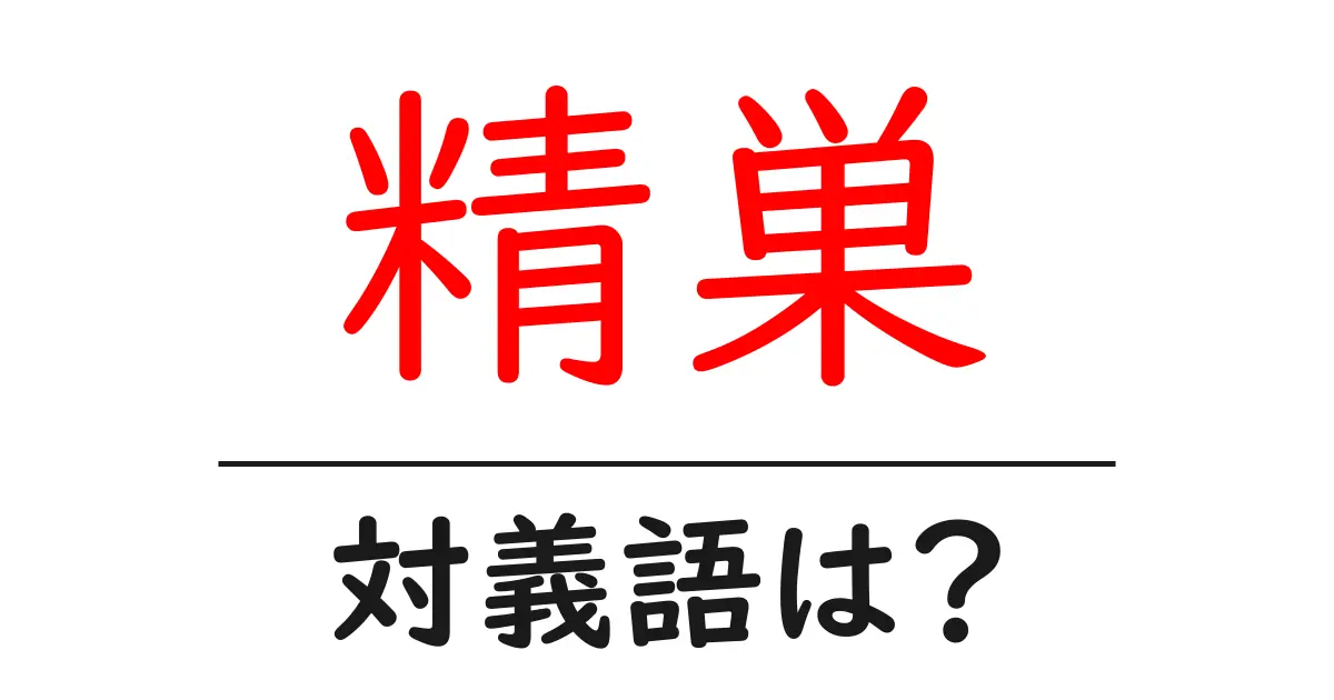精巣の対義語・反対語を使用例を交えて分かりやすく解説！