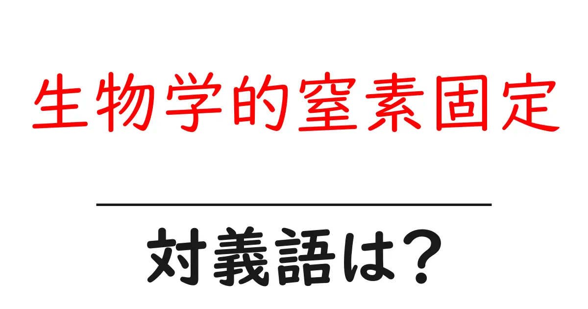 生物学的窒素固定の対義語・反対語を使用例を交えて分かりやすく解説!