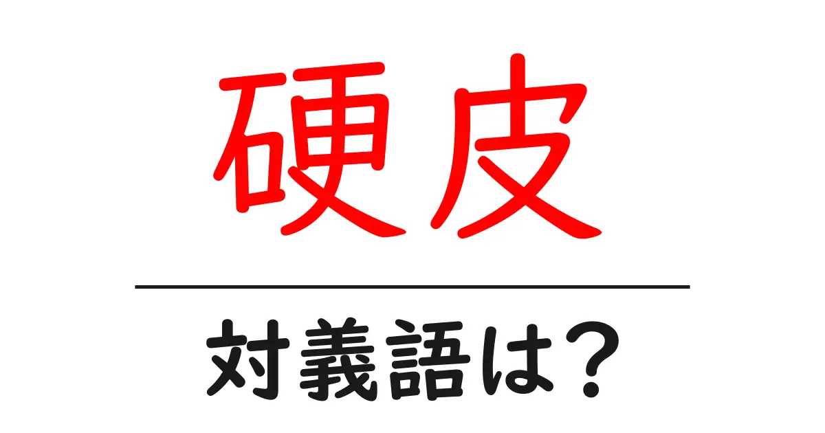 硬皮の対義語・反対語を使用例を交えて分かりやすく解説!