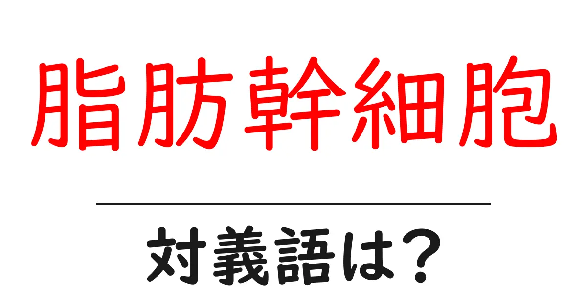 脂肪幹細胞の対義語・反対語を使用例を交えて分かりやすく解説!