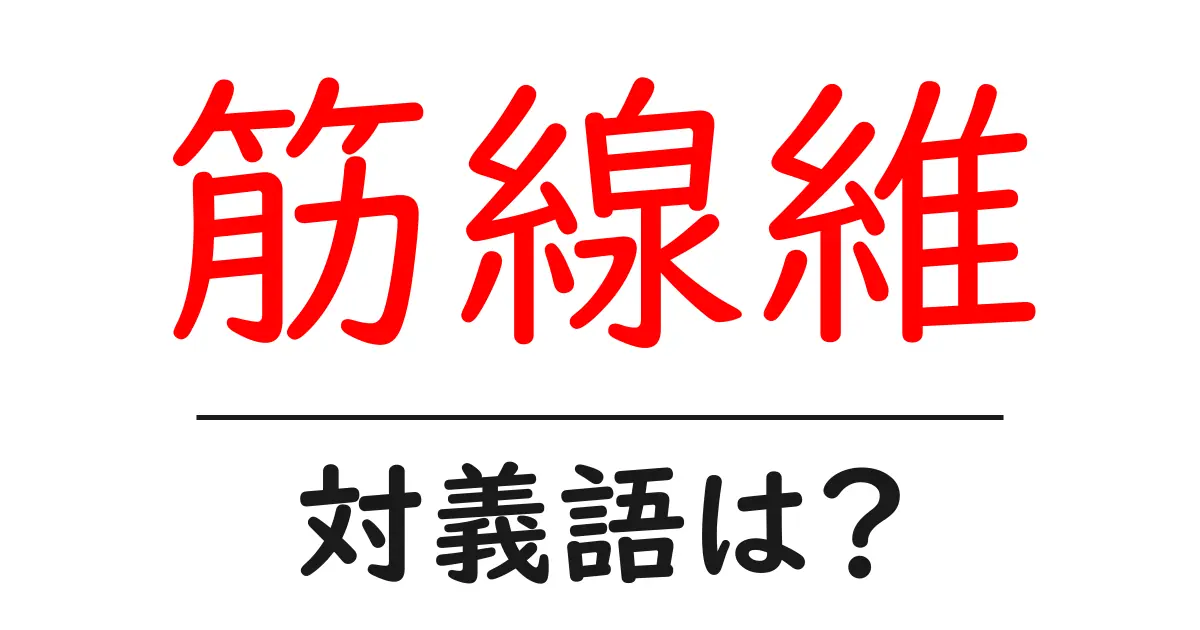 筋線維の対義語・反対語を使用例を交えて分かりやすく解説!