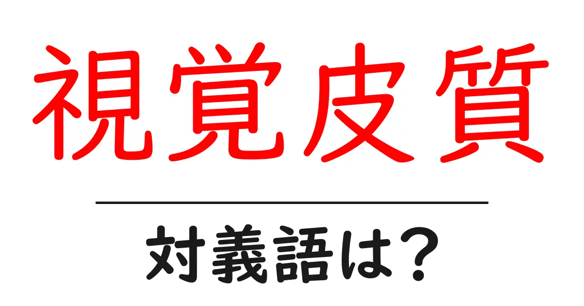 視覚皮質の対義語・反対語を使用例を交えて分かりやすく解説!