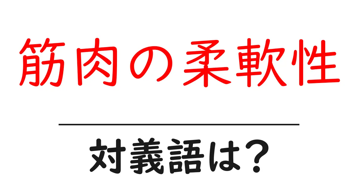 筋肉の柔軟性の対義語・反対語を使用例を交えて分かりやすく解説!