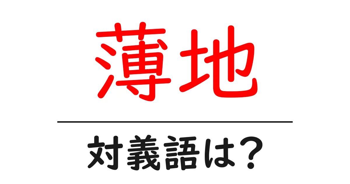 薄地の対義語・反対語を使用例を交えて分かりやすく解説!