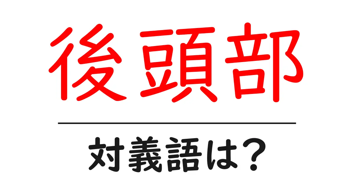 後頭部の対義語・反対語を使用例を交えて分かりやすく解説!