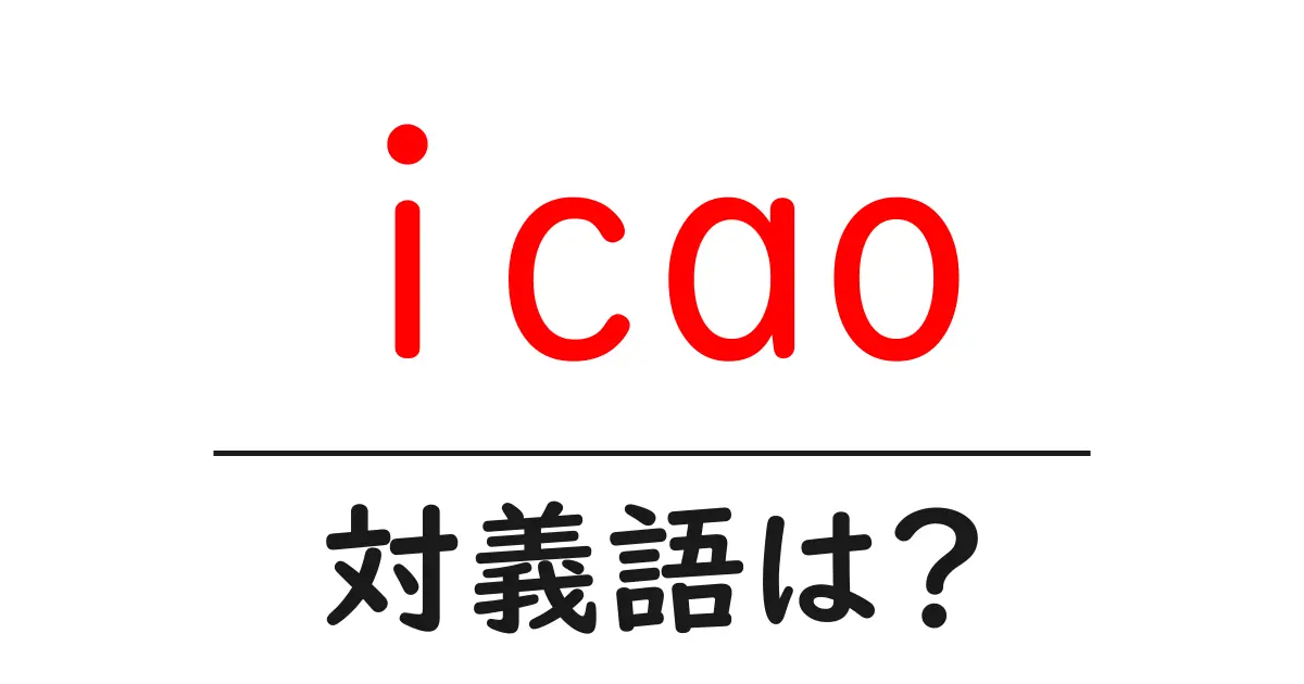 icaoの対義語・反対語を使用例を交えて分かりやすく解説！