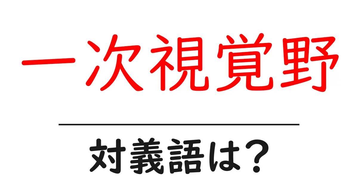 一次視覚野の対義語・反対語を使用例を交えて分かりやすく解説!