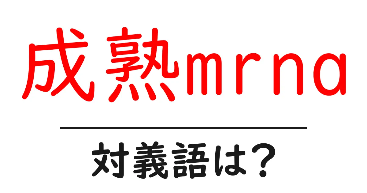成熟mrnaの対義語・反対語を使用例を交えて分かりやすく解説!