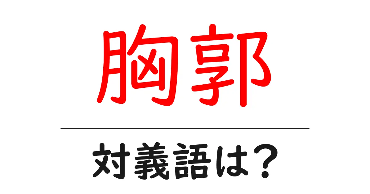 胸郭の対義語・反対語を使用例を交えて分かりやすく解説!