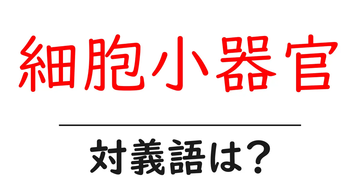細胞小器官の対義語・反対語を使用例を交えて分かりやすく解説！