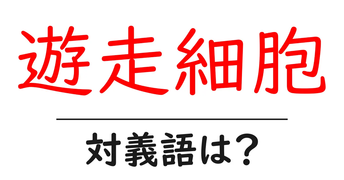 遊走細胞の対義語・反対語を使用例を交えて分かりやすく解説!