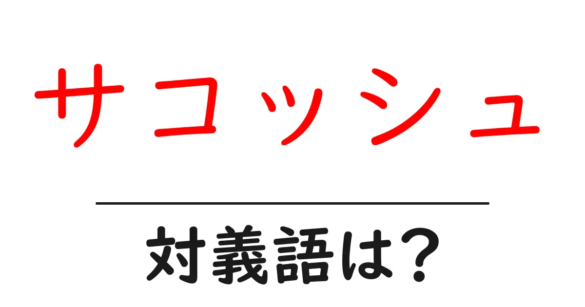 サコッシュの対義語・反対語を使用例を交えて分かりやすく解説!