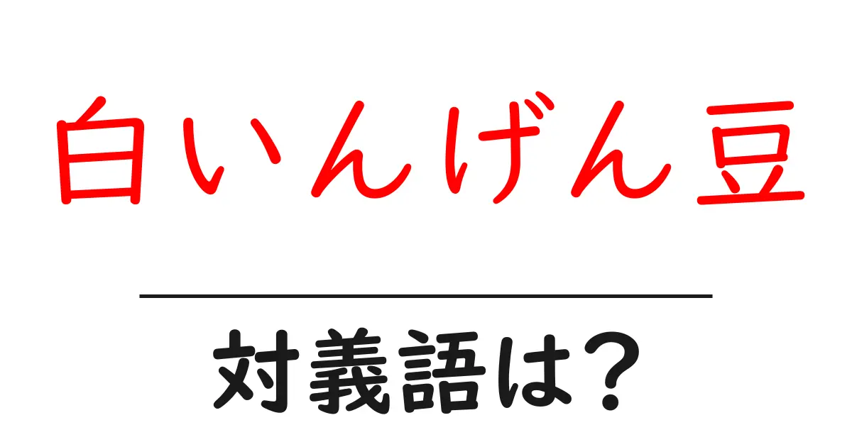 白いんげん豆の対義語・反対語を使用例を交えて分かりやすく解説!