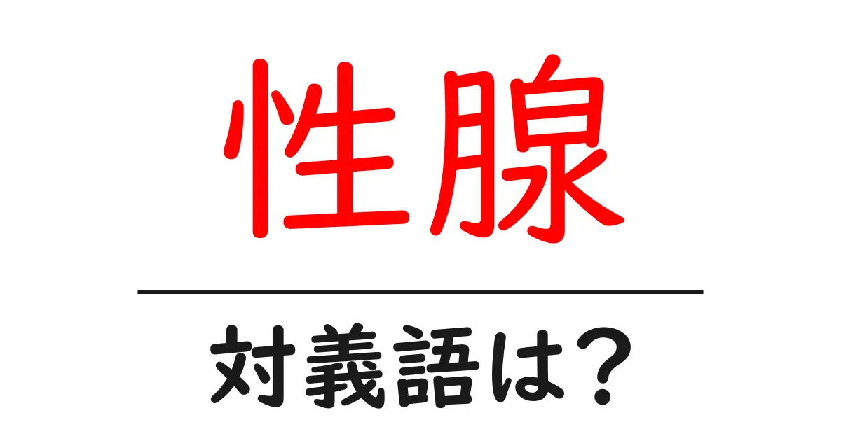 性腺の対義語・反対語を使用例を交えて分かりやすく解説!