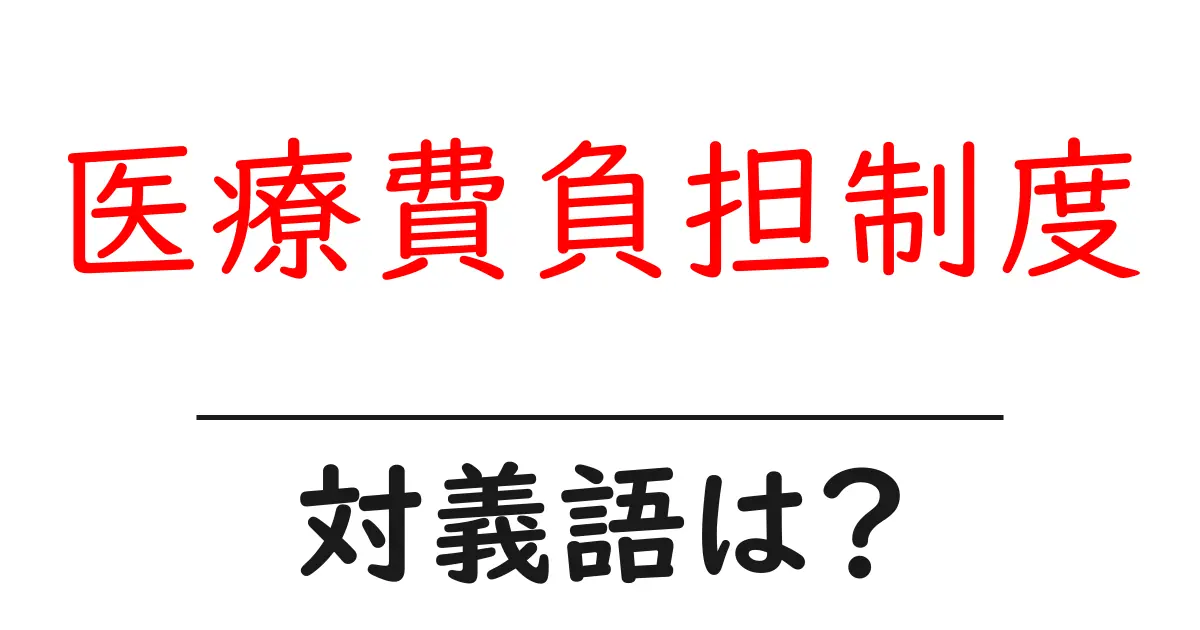医療費負担制度の対義語・反対語を使用例を交えて分かりやすく解説!