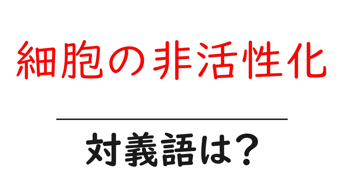 細胞の非活性化の対義語・反対語を使用例を交えて分かりやすく解説!