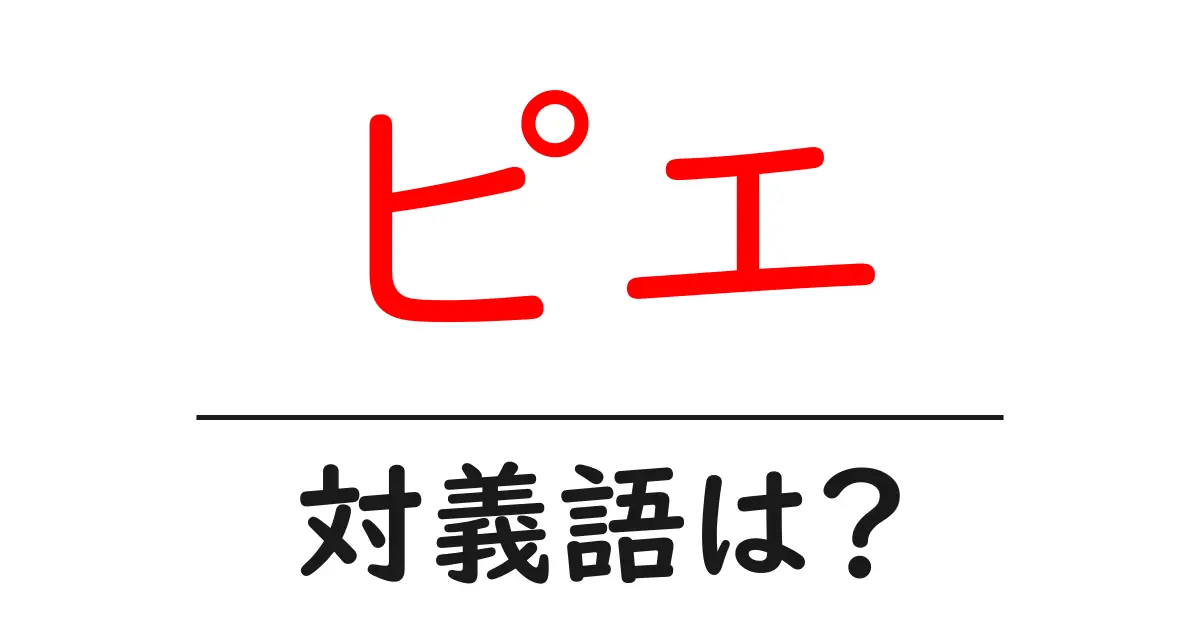 ピエの対義語・反対語を使用例を交えて分かりやすく解説!