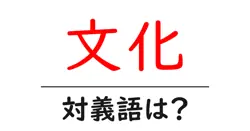 文化の対義語・反対語を使用例を交えて分かりやすく解説！