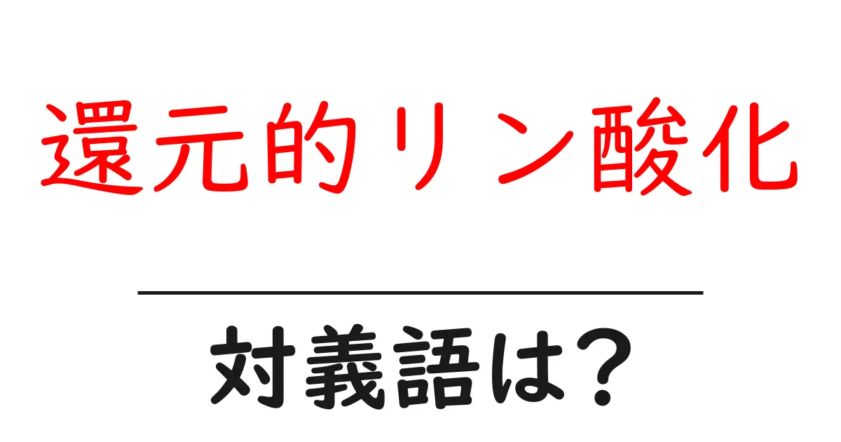 還元的リン酸化の対義語・反対語を使用例を交えて分かりやすく解説!
