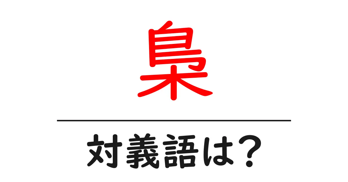 梟の対義語・反対語を使用例を交えて分かりやすく解説!