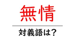無情の対義語・反対語を使用例を交えて分かりやすく解説！