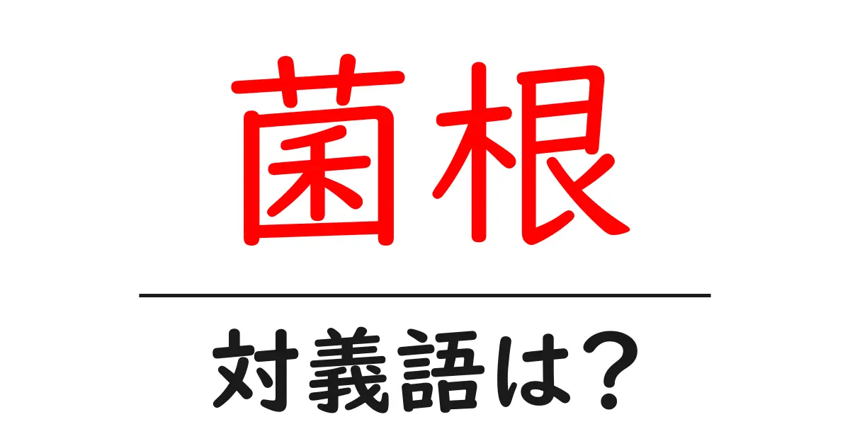 菌根の対義語・反対語を使用例を交えて分かりやすく解説！