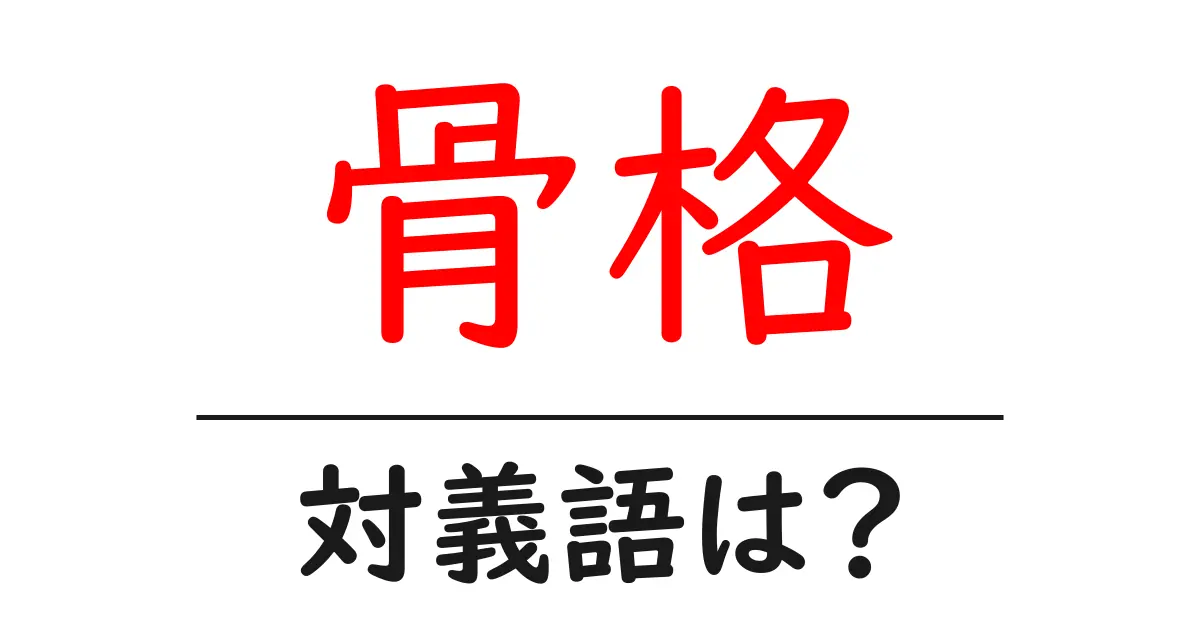 骨格の対義語・反対語を使用例を交えて分かりやすく解説!