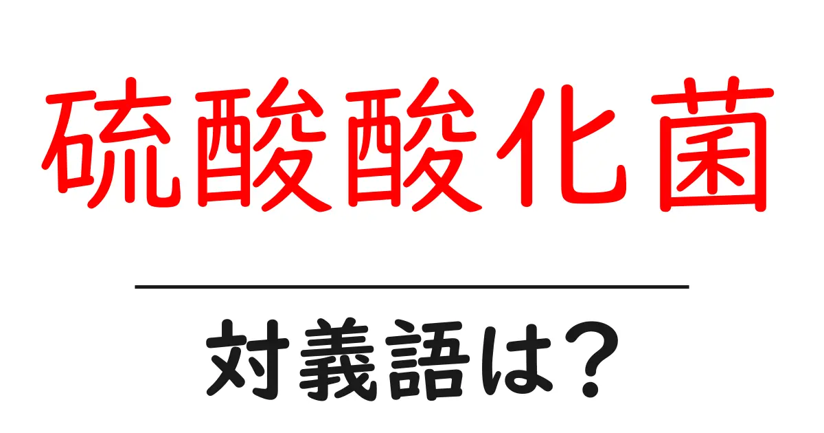 硫酸酸化菌の対義語・反対語を使用例を交えて分かりやすく解説!