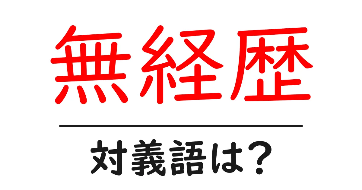 無経歴の対義語・反対語を使用例を交えて分かりやすく解説！
