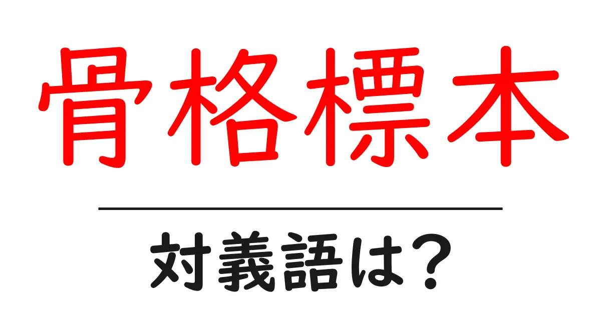 骨格標本の対義語・反対語を使用例を交えて分かりやすく解説!
