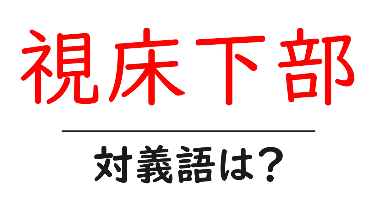 視床下部の対義語・反対語を使用例を交えて分かりやすく解説!