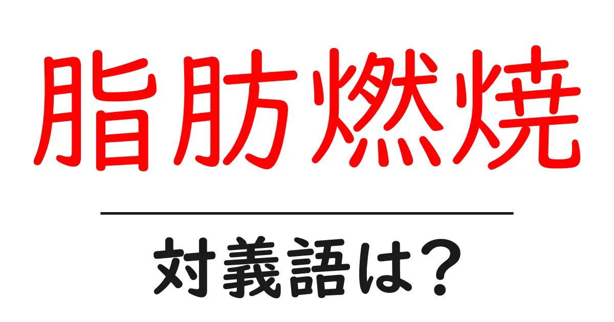 脂肪燃焼の対義語・反対語を使用例を交えて分かりやすく解説!
