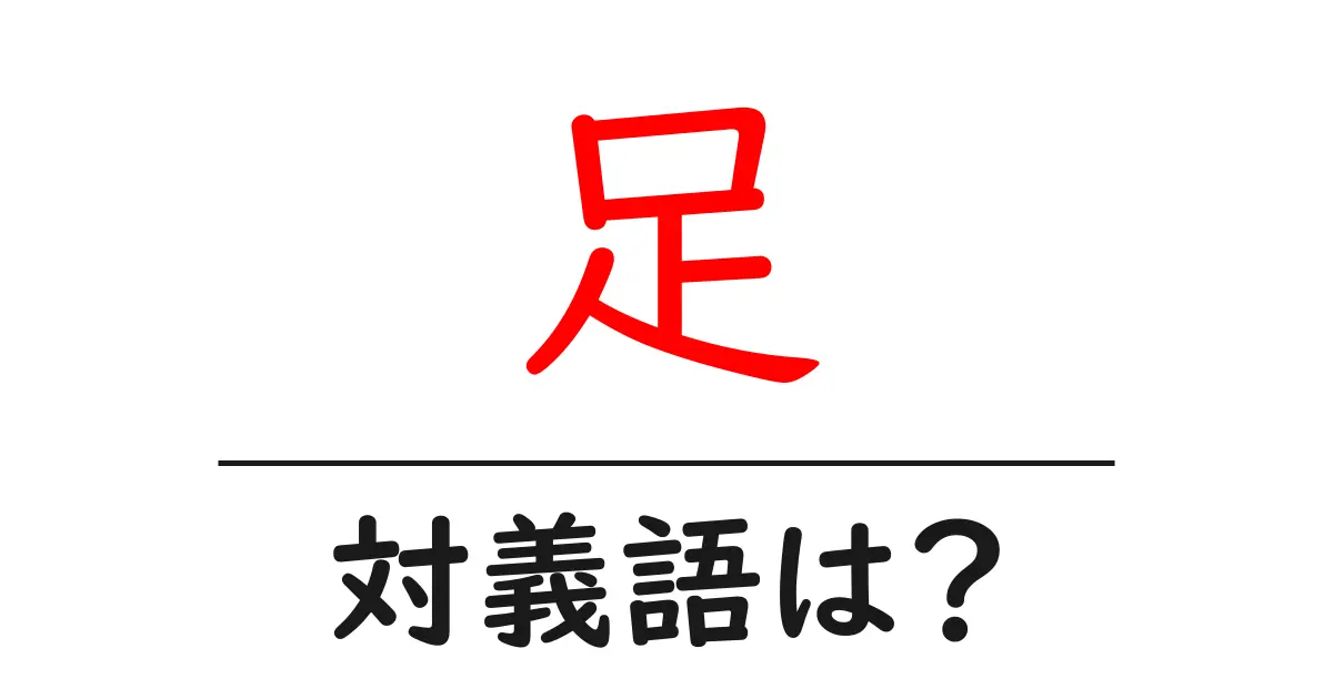 足の対義語・反対語を使用例を交えて分かりやすく解説!