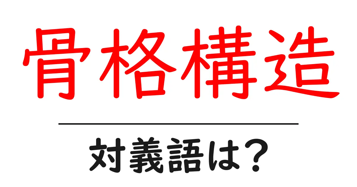 骨格構造の対義語・反対語を使用例を交えて分かりやすく解説！