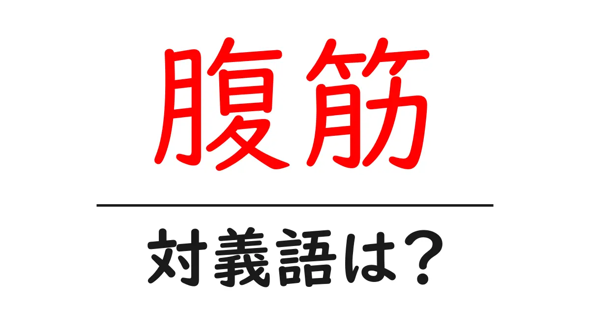 腹筋の対義語・反対語を使用例を交えて分かりやすく解説!
