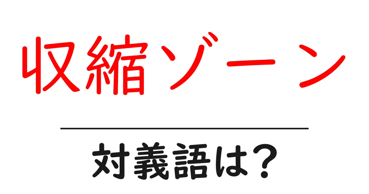 収縮ゾーンの対義語・反対語を使用例を交えて分かりやすく解説!