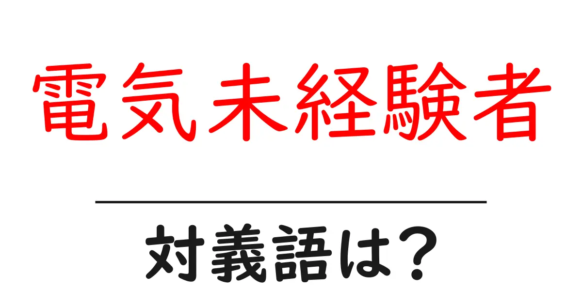 電気未経験者の対義語・反対語を使用例を交えて分かりやすく解説!