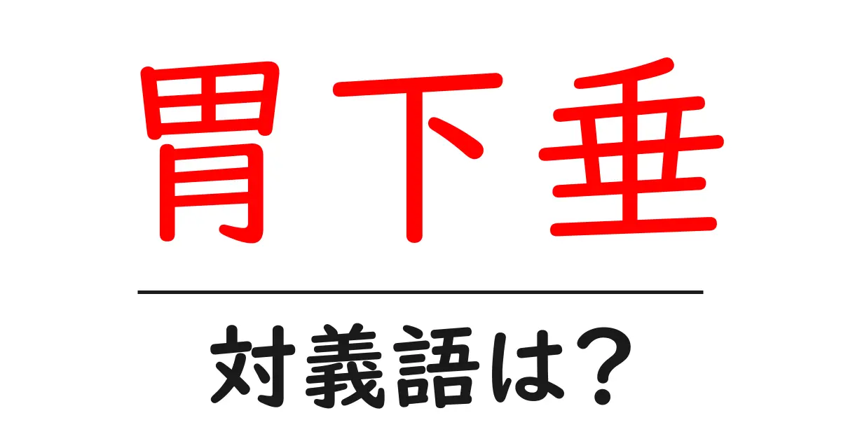 胃下垂の対義語・反対語を使用例を交えて分かりやすく解説!