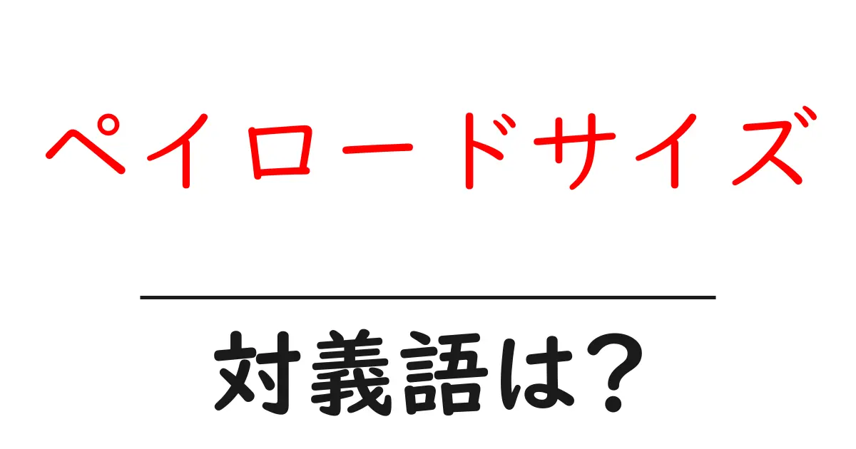 ペイロードサイズの対義語・反対語を使用例を交えて分かりやすく解説!