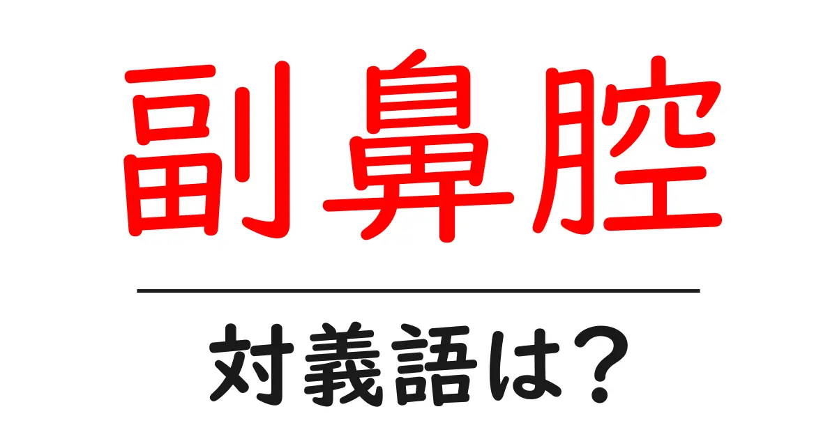副鼻腔の対義語・反対語を使用例を交えて分かりやすく解説!