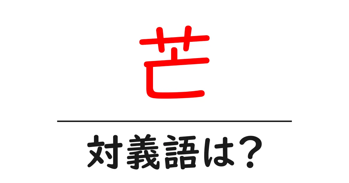 芒の対義語・反対語を使用例を交えて分かりやすく解説!