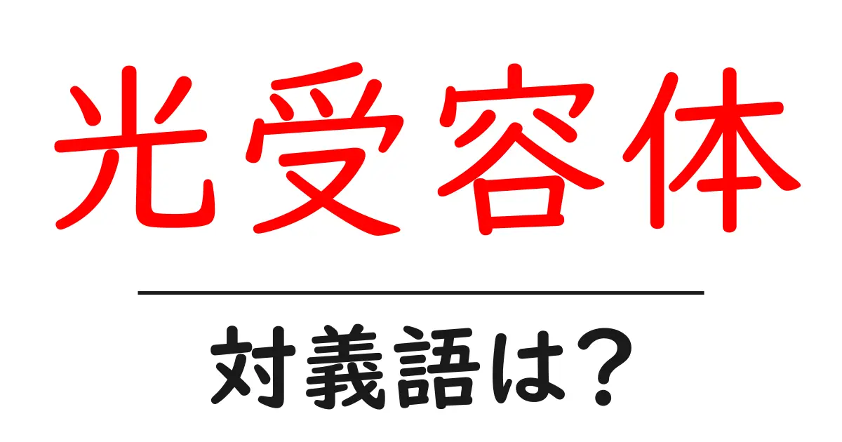光受容体の対義語・反対語を使用例を交えて分かりやすく解説!